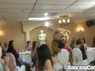 Dancingcock 大 peter 生日