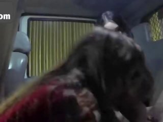 Extraordinary немовлята bribe a поганий tow truck водій з їх піхви
